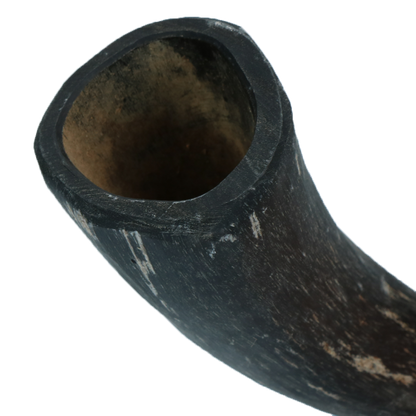 Viking Horn Whole S