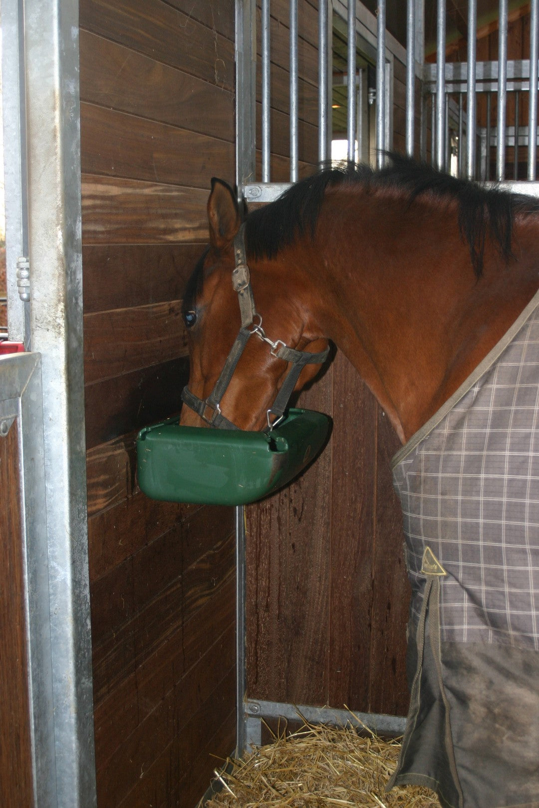 OK Plast Feed trough with hookover 11 l Green