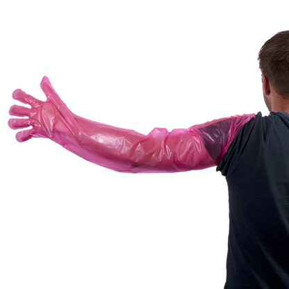 Disposable gloves Vet