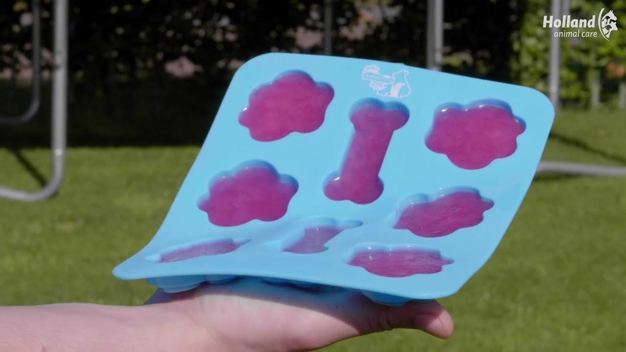 CoolPets Dog Ice Mix Tray