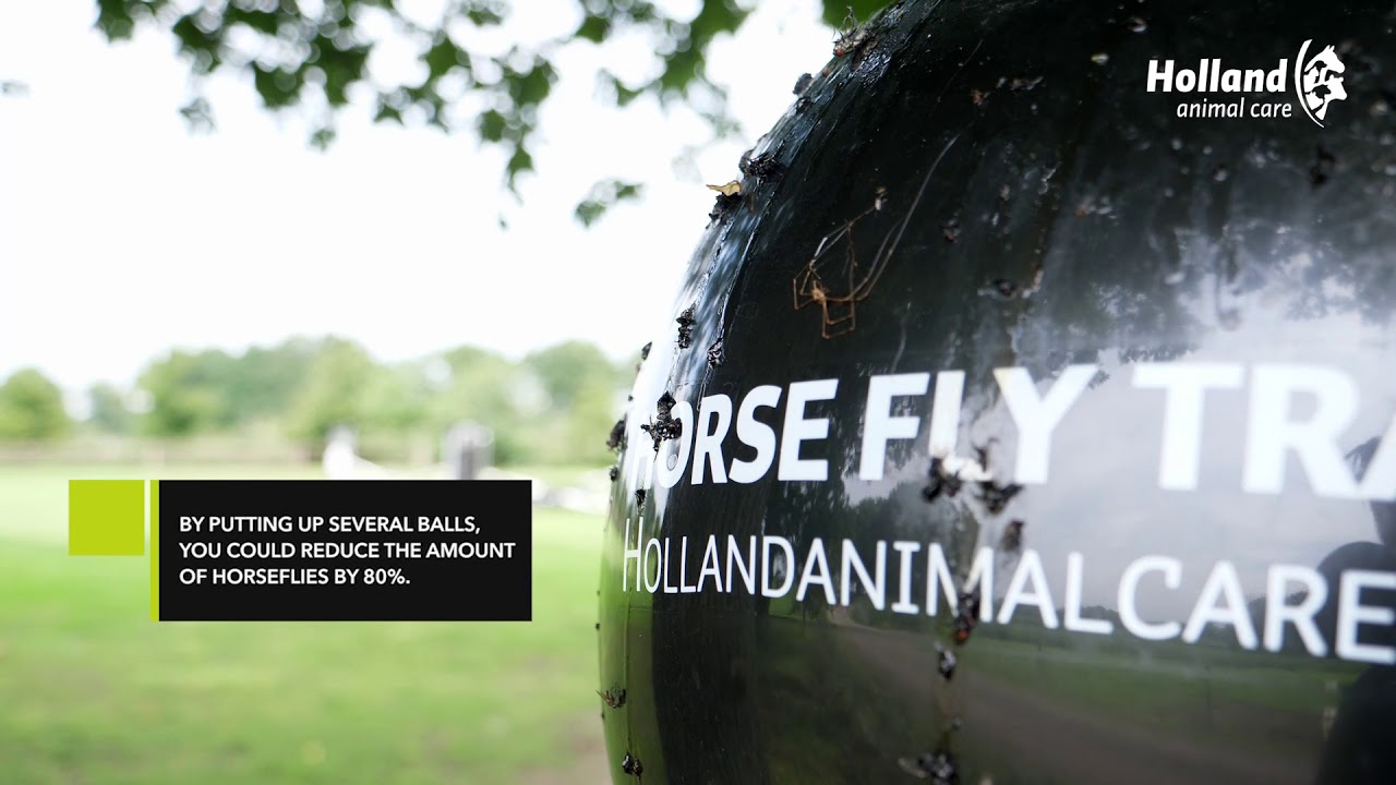 Loer Horsefly Trap Ball