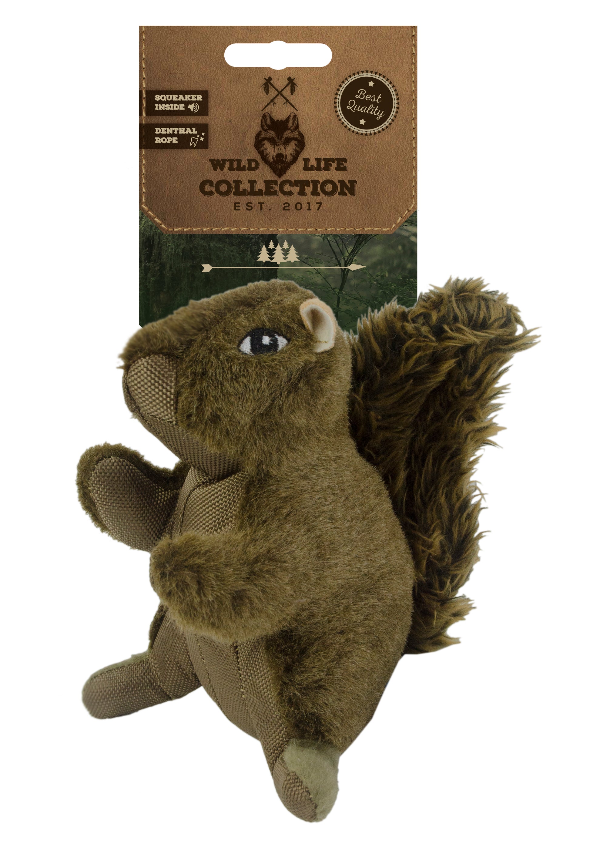 Wild Life Dog Squirrel