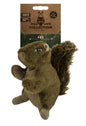 Wild Life Dog Squirrel