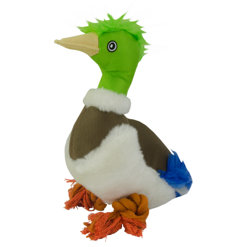Wild Life Dog Duck