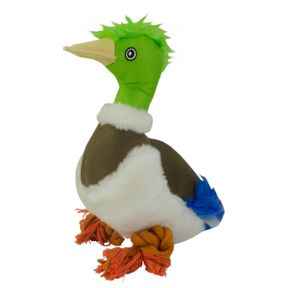 Wild Life Dog Duck