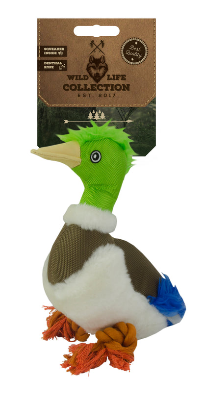 Wild Life Dog Duck