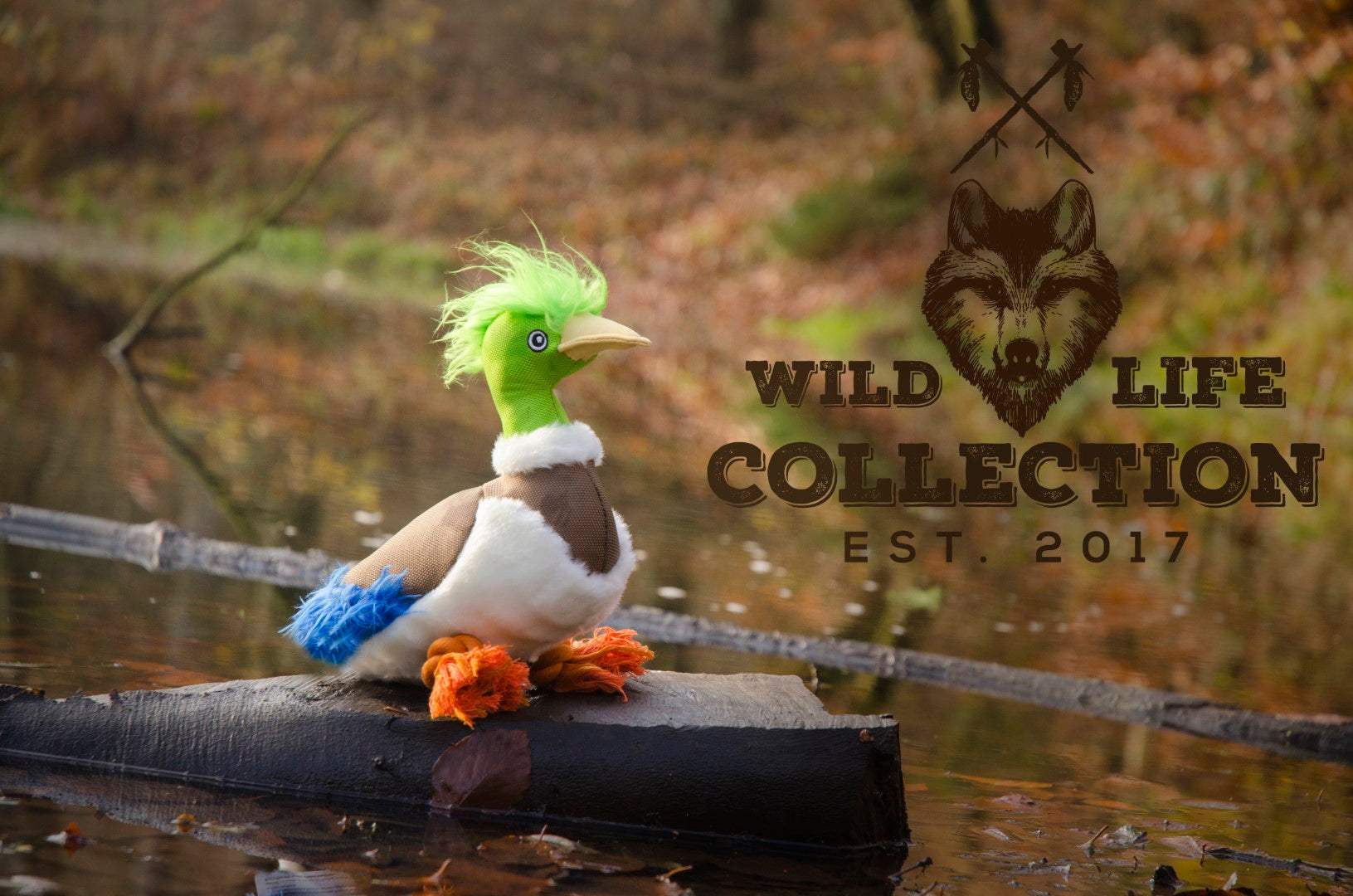 Wild Life Dog Duck