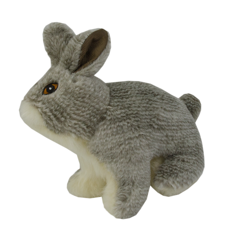 Wild Life Dog Rabbit