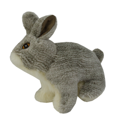 Wild Life Dog Rabbit