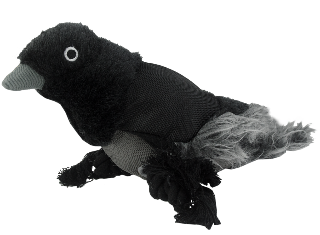 Wild Life Dog Raven
