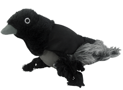 Wild Life Dog Raven