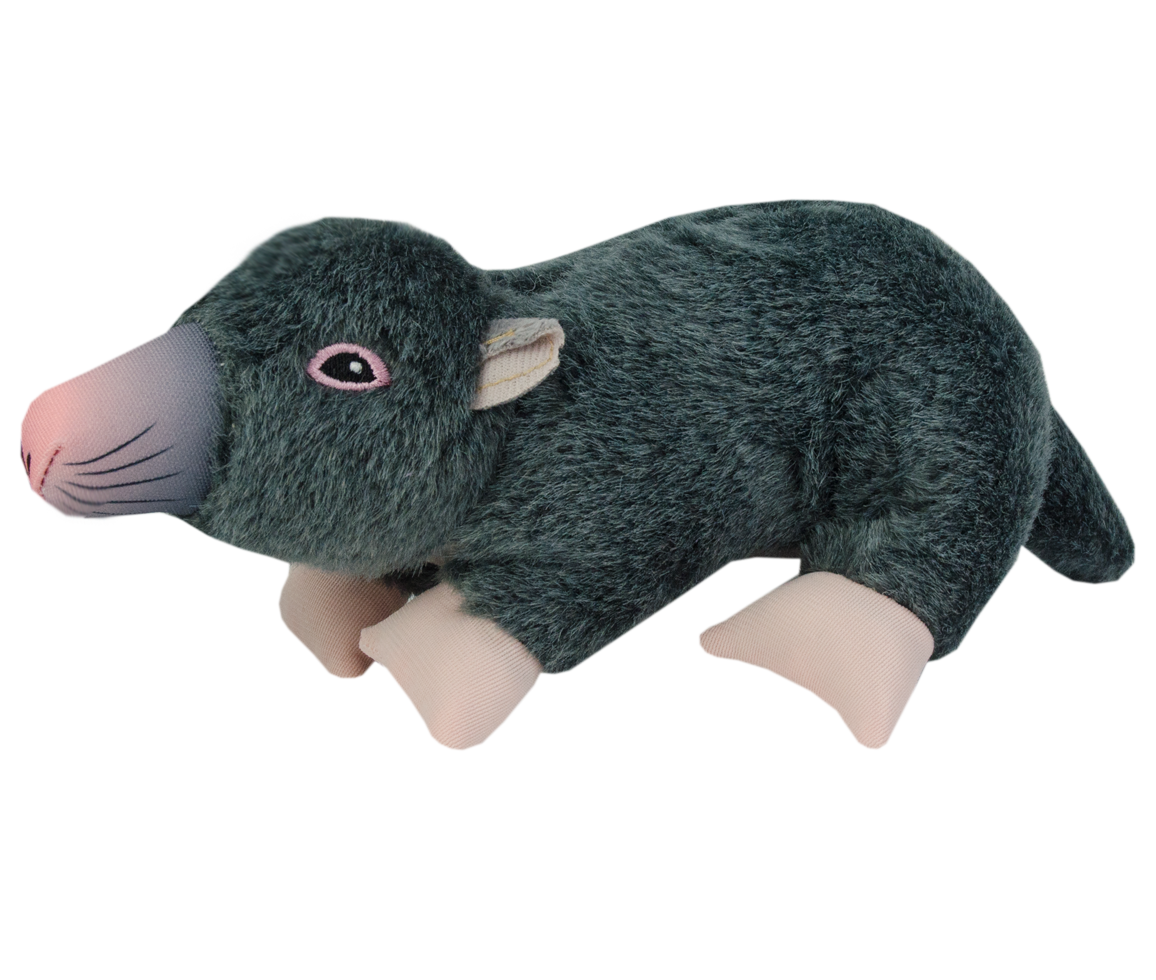 Wild Life Dog Mole