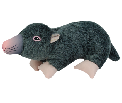 Wild Life Dog Mole