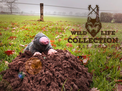 Wild Life Dog Mole