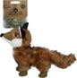 Wild Life Dog Fox