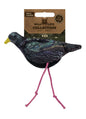 Wild Life Cat Starling