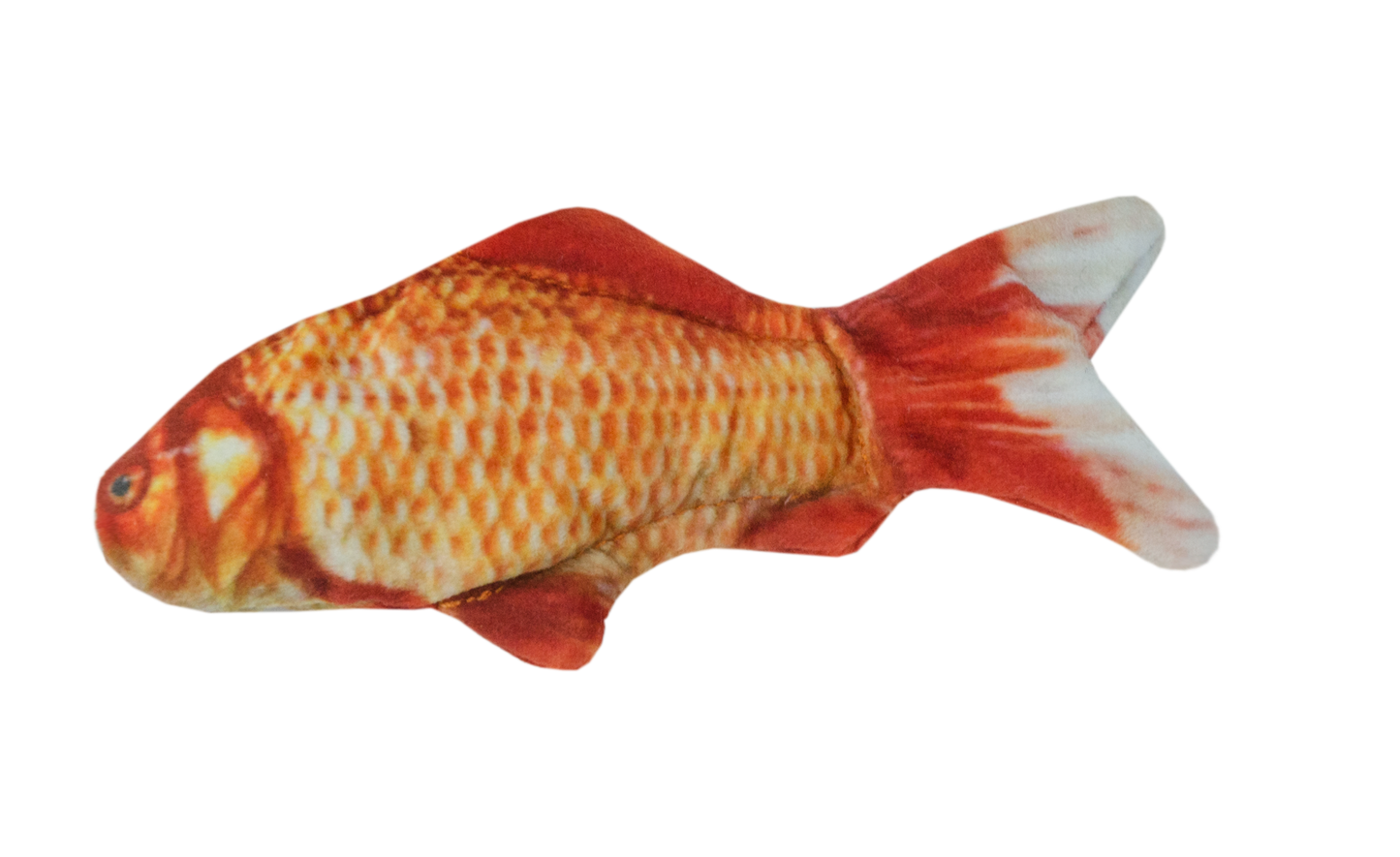 Wild Life Cat Goldfish