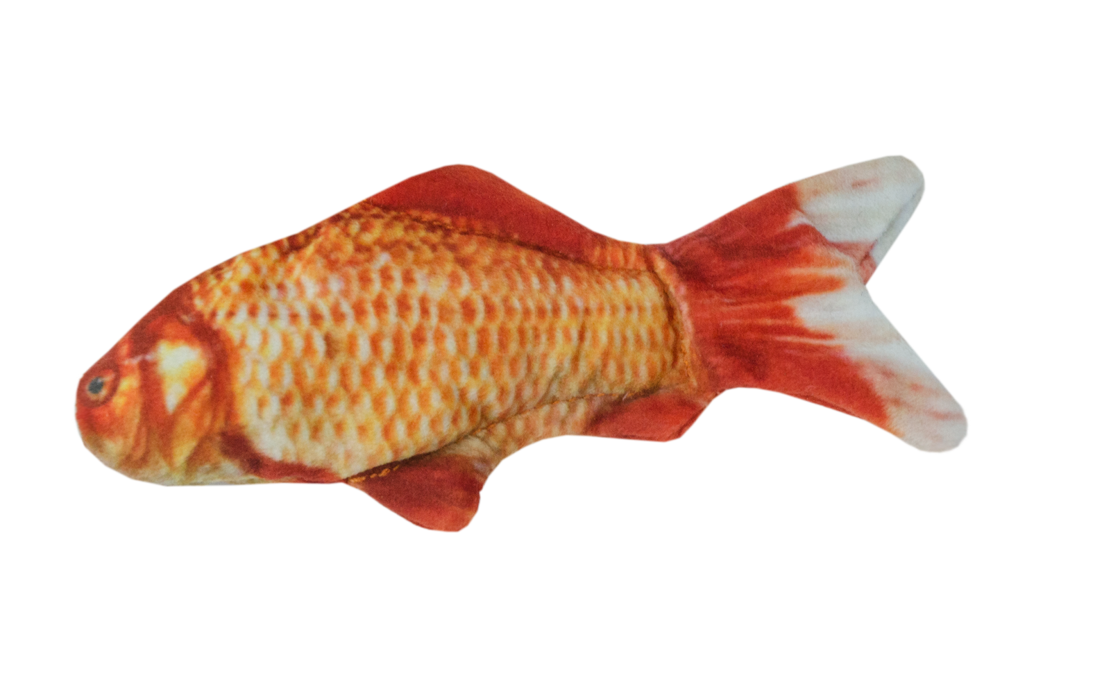 Wild Life Cat Goldfish