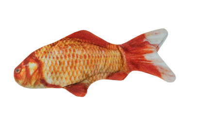 Wild Life Cat Goldfish
