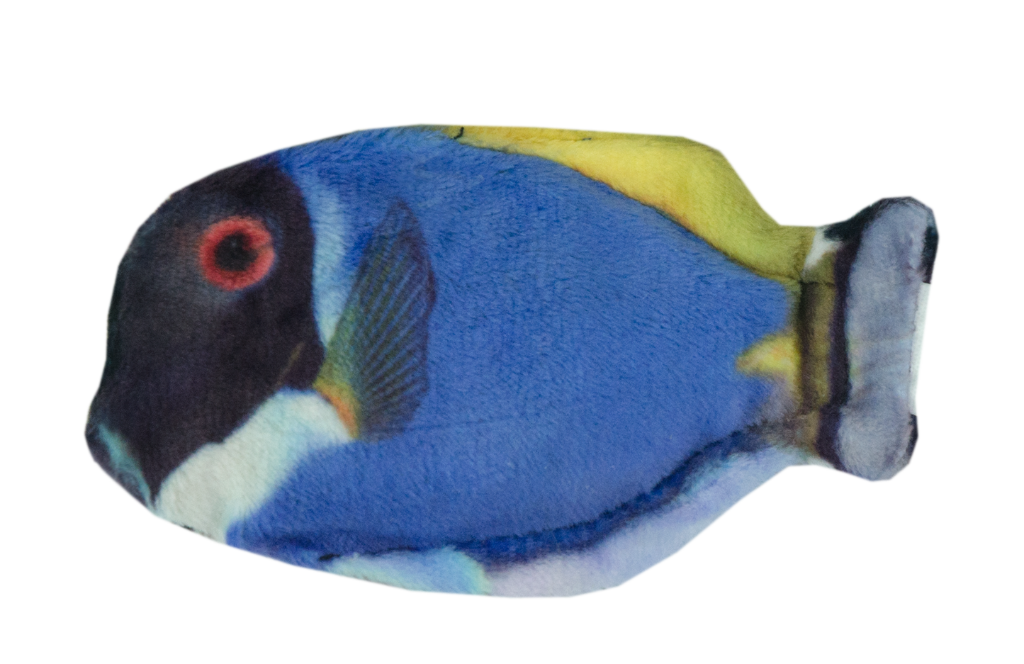 Wild Life Cat Blue Tang
