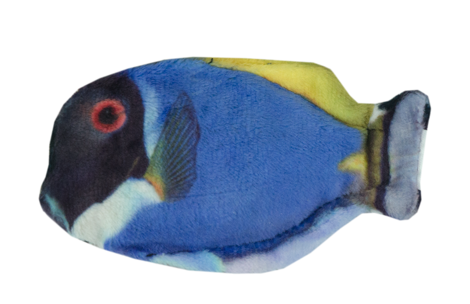 Wild Life Cat Blue Tang