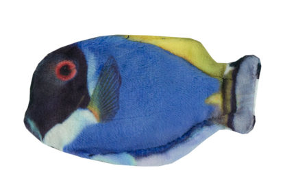 Wild Life Cat Blue Tang
