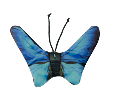 Wild Life Cat Blue Butterfly