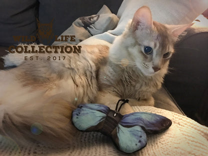 Wild Life Cat Blue Butterfly