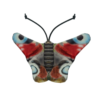 Wild Life Cat Peacock Butterfly