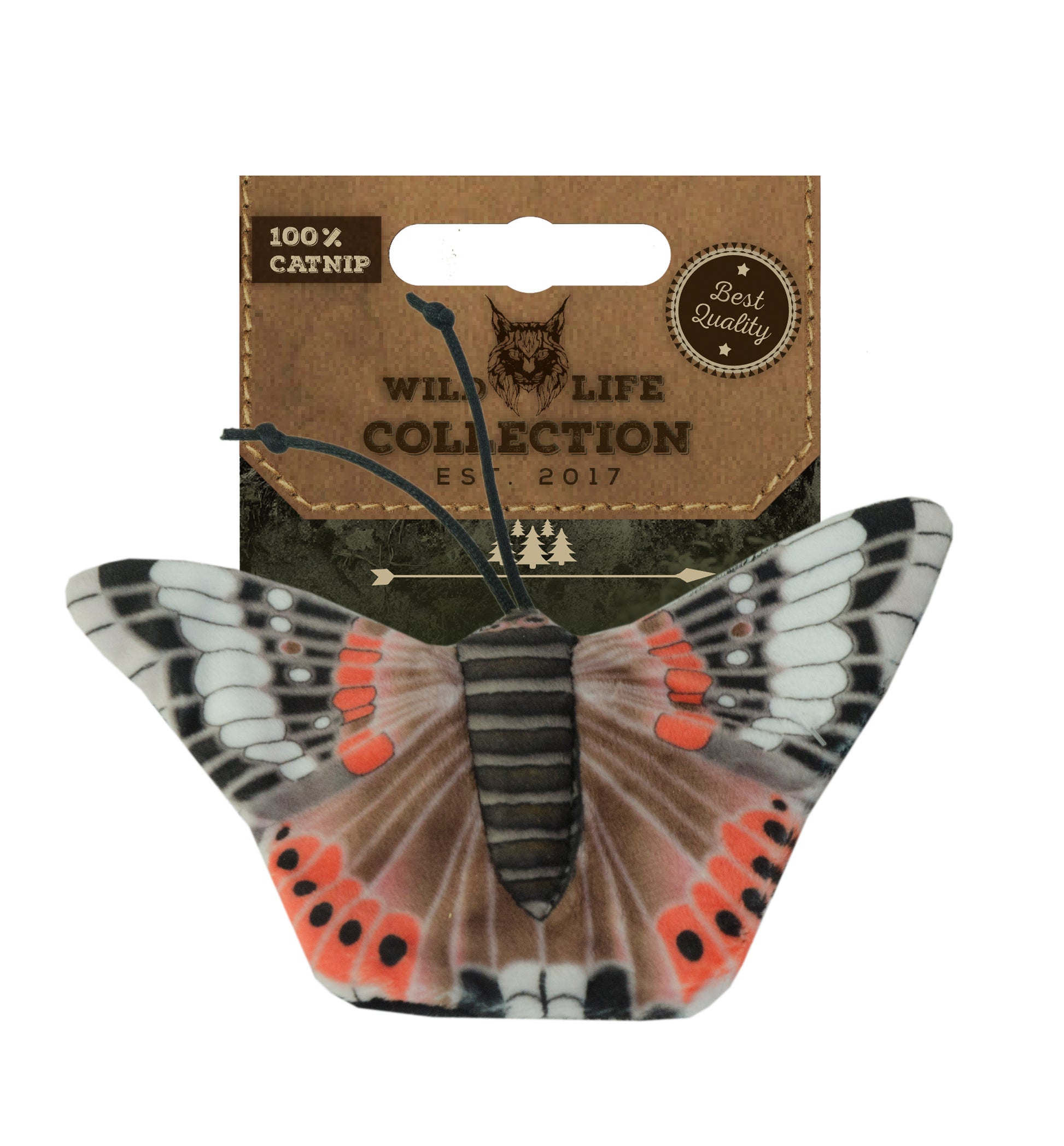 Wild Life Cat Admiral Butterfly