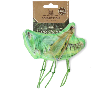 Wild Life Cat Grasshopper