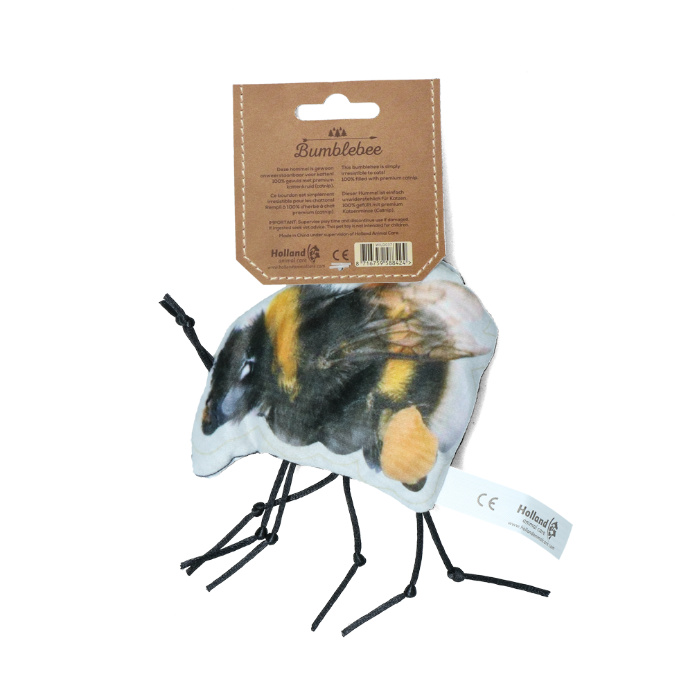 Wild Life Cat Bumblebee