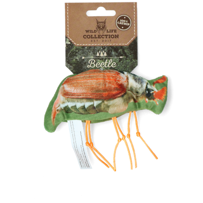 Wild Life Cat Beetle