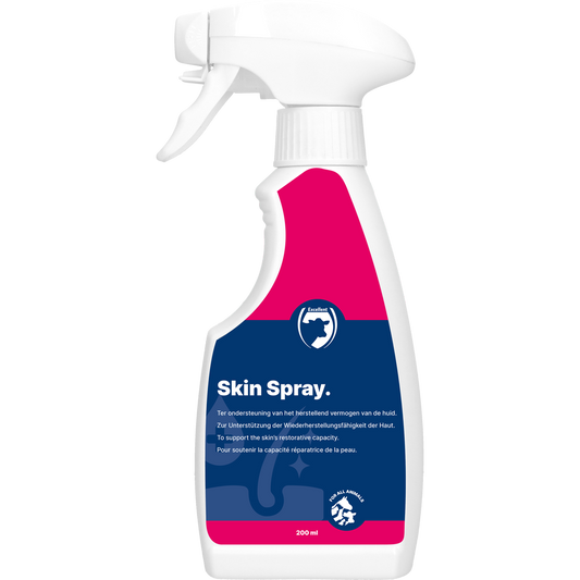 Kiváló Bőrspray Üres 200 ml