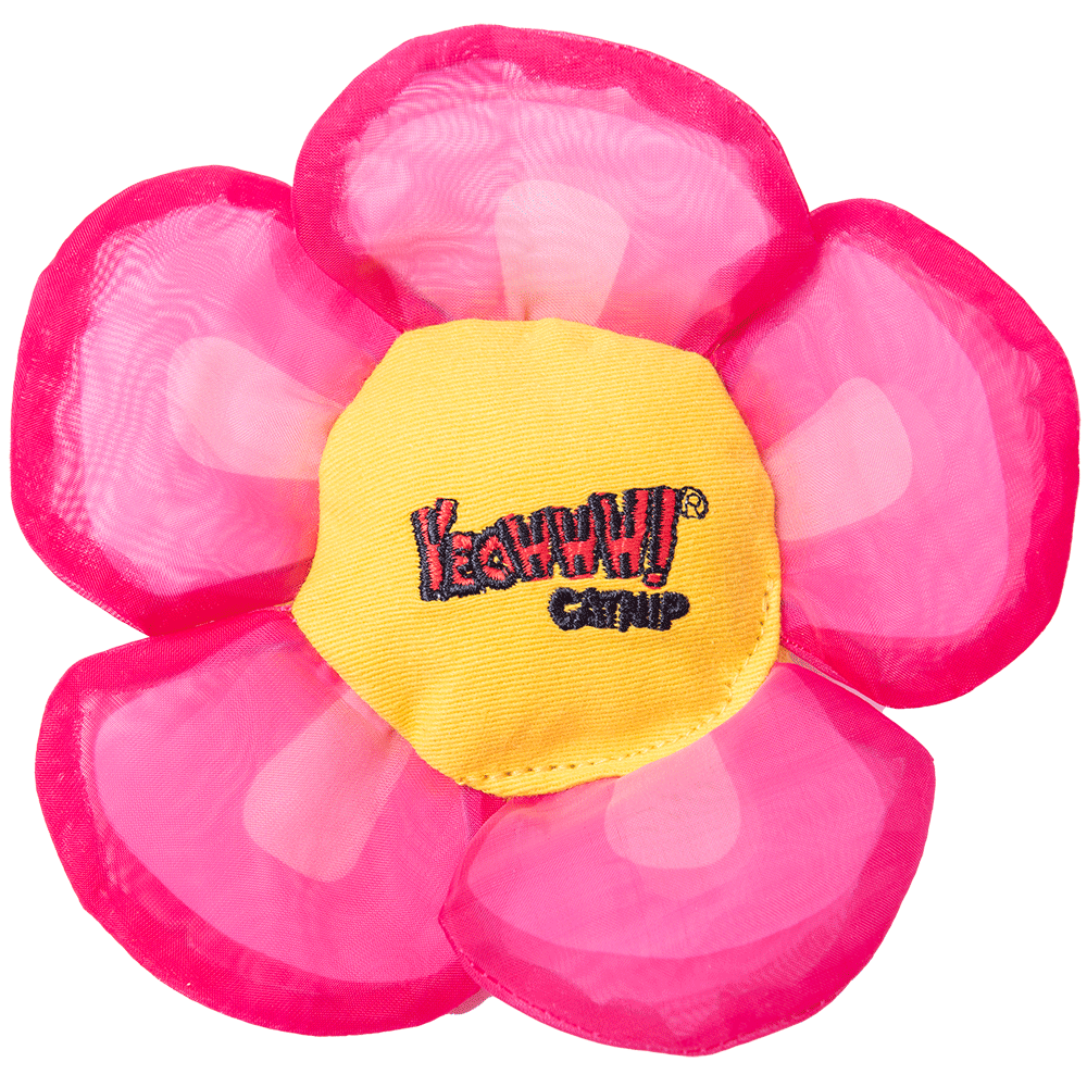 Yeowww! Daisy's Flower Tops Pink