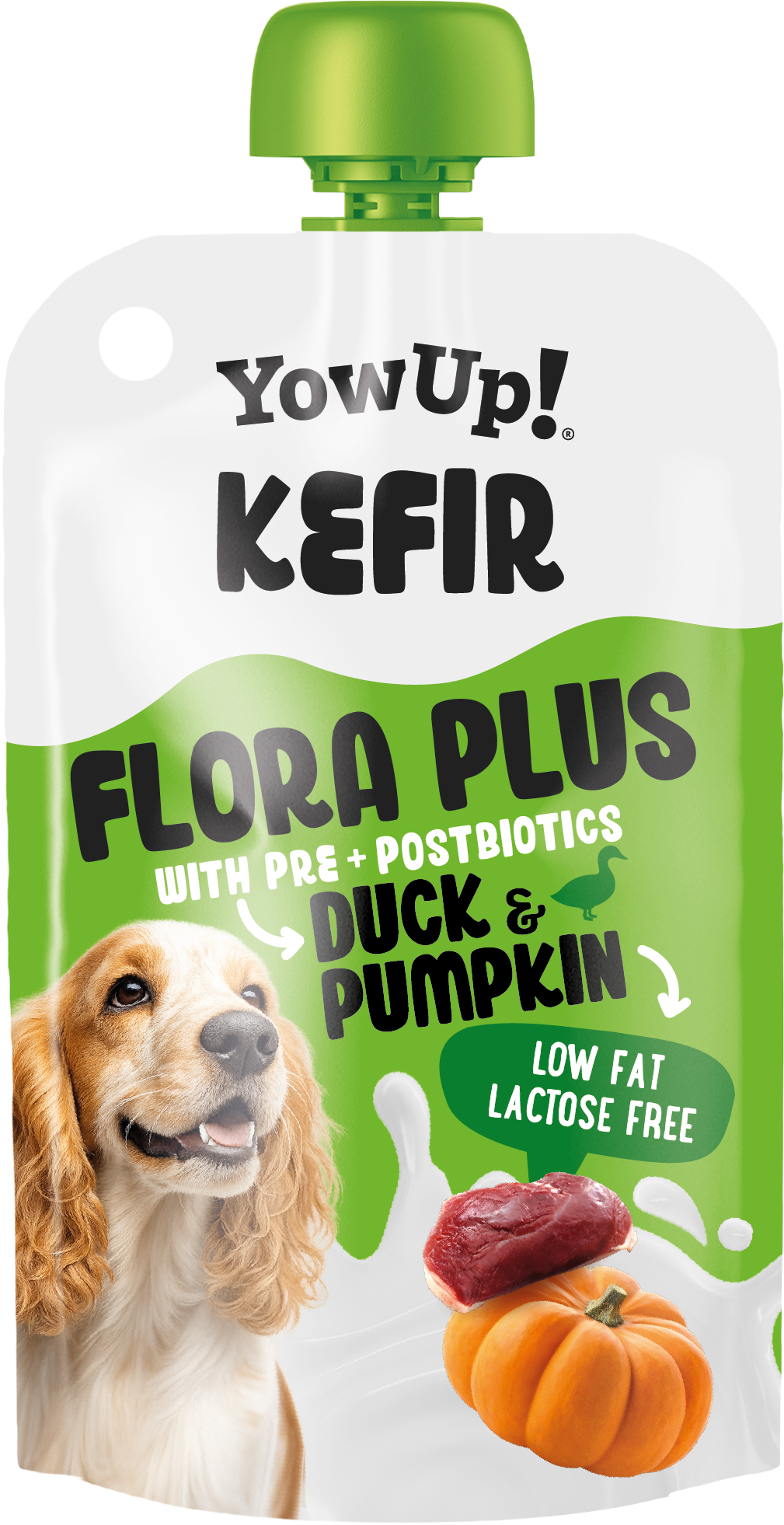 Yowup! Kefir Duck and Pumpkin (dog)