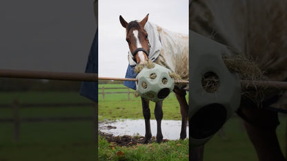 Excellent Horse Feed & Play Ball Green