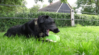 Fuzzle with squeaker Bear