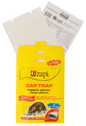 Zapi Zap Trap glue trap for mice and insects 15x21 cm
