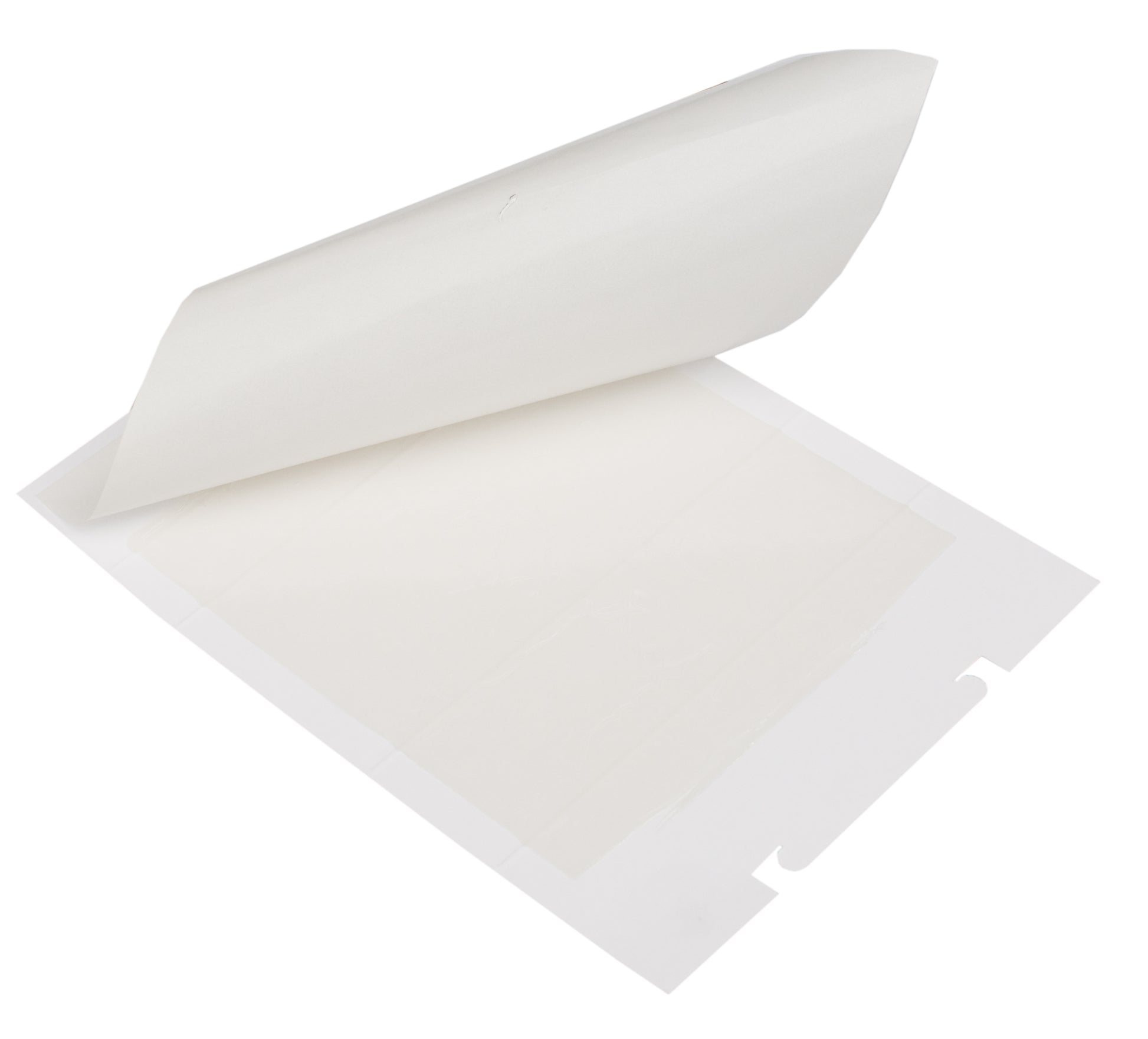 Zapi Zap Trap glue trap for mice and insects 15x21 cm
