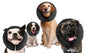 Zenpet ProCollar S