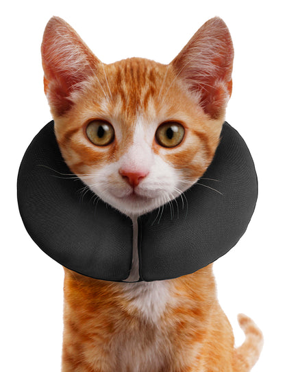 Zenpet ProCollar XS