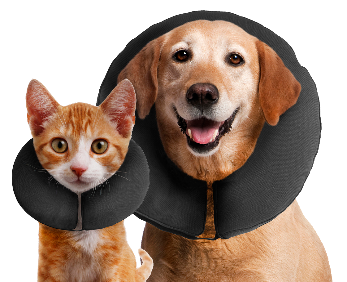 Zenpet ProCollar S