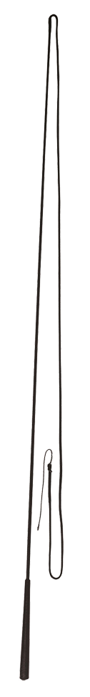 Lunge whip 180cm