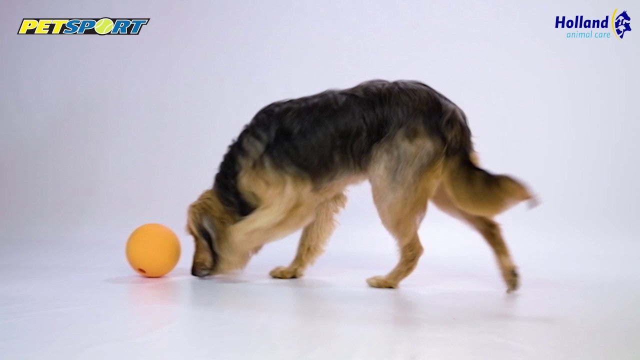 Petsport Kingpin Kibbler Black