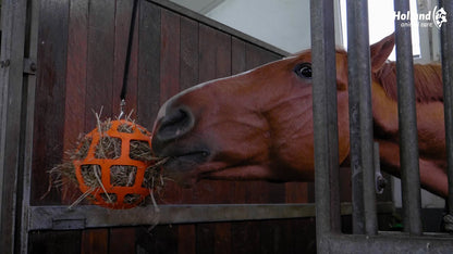 Hay Slow Feeder Fun & Flex Green