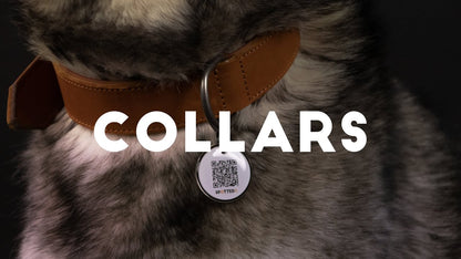 Spotted! Pro Leather Collar Black 2.5 x 40 cm