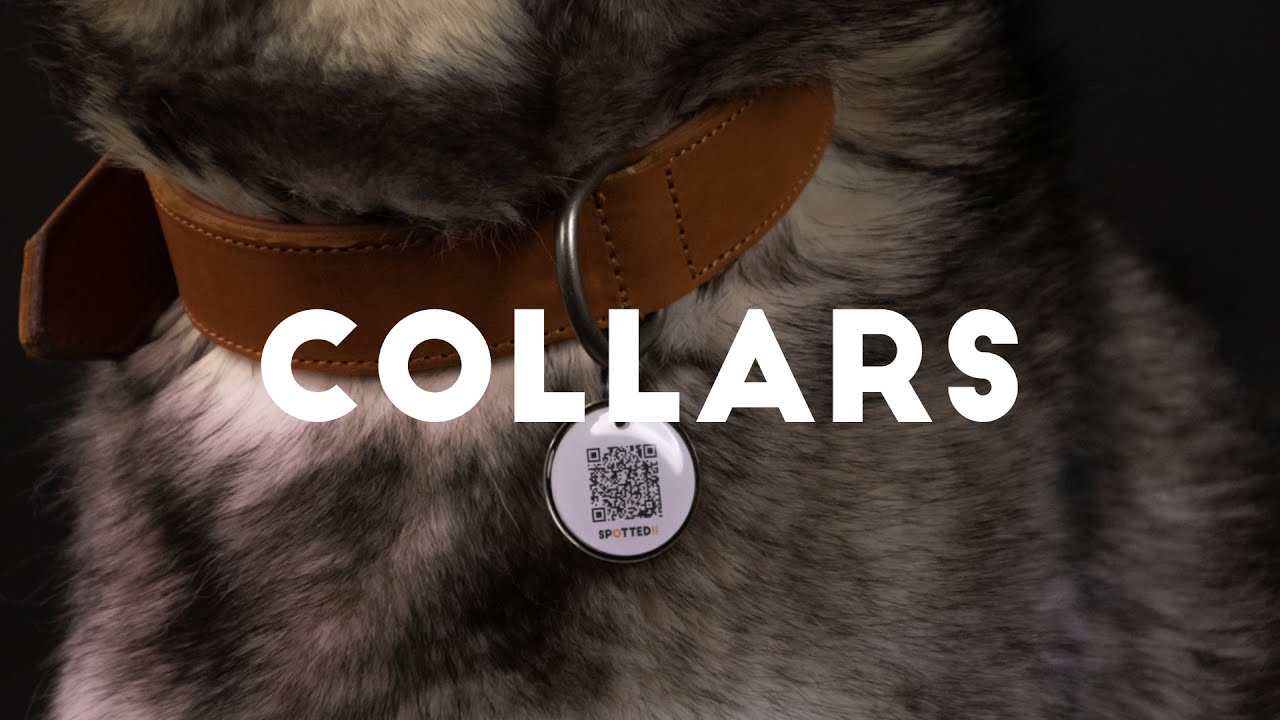 Spotted! Pro Leather Collar Grey 2.5 x 50 cm