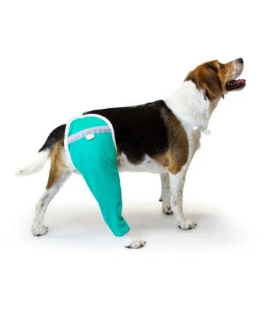 VetMedWear® csípő- és combvédő