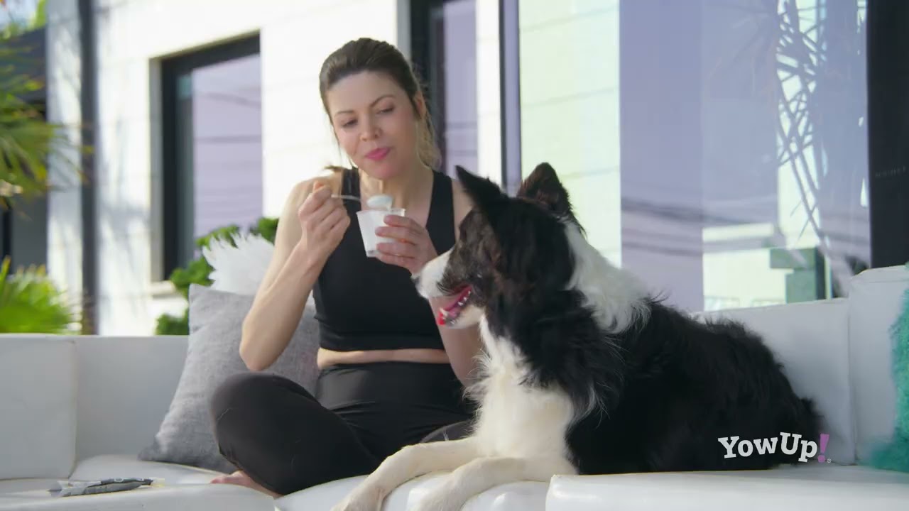 YowUp! Frozen Yoghurt Chicken & Apple